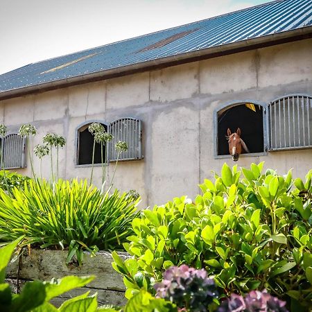 Le Cottage De La Doucette パンポン エクステリア 写真