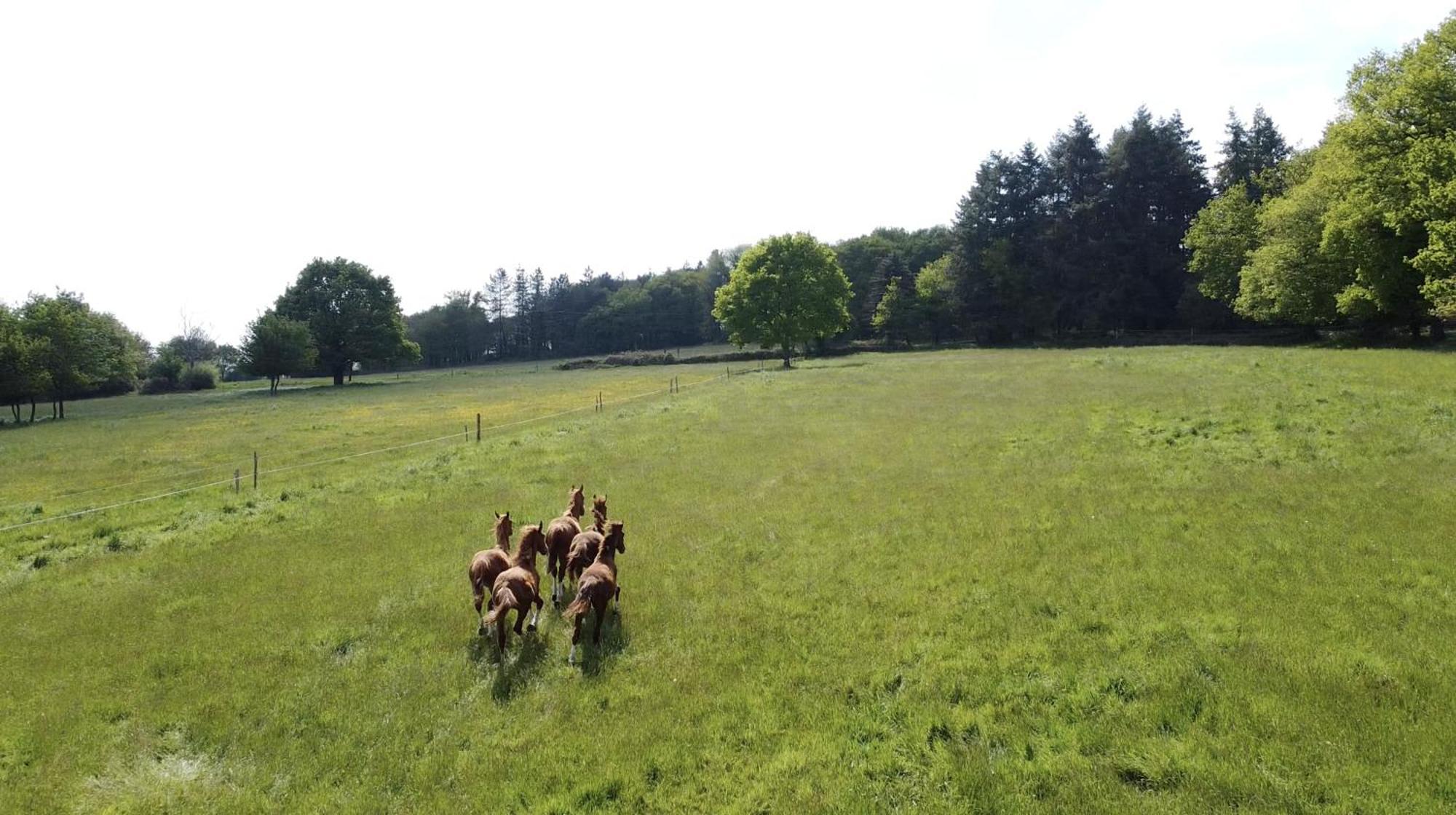 Le Cottage De La Doucette パンポン エクステリア 写真